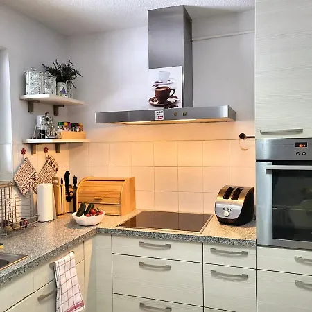 Falkau Paradies - Gemuetliche 140 M2 Grosse In Ruhiger Waldrandlage Mit Sauna Und Raclette Appartement